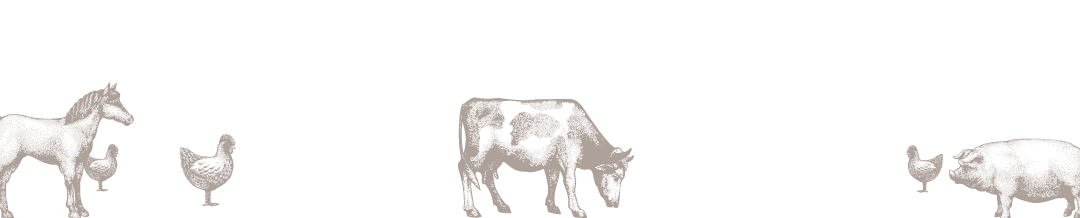 boucherie-von-euw-fond1